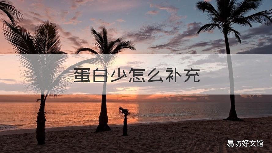 蛋白少怎么补充 体内总蛋白低怎么补