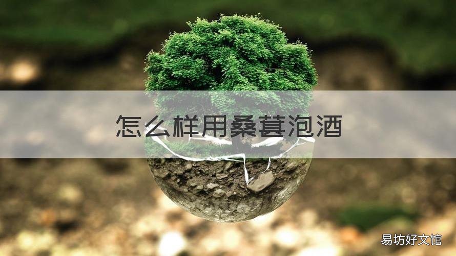 怎么样用桑葚泡酒 怎么样用桑葚泡酒喝
