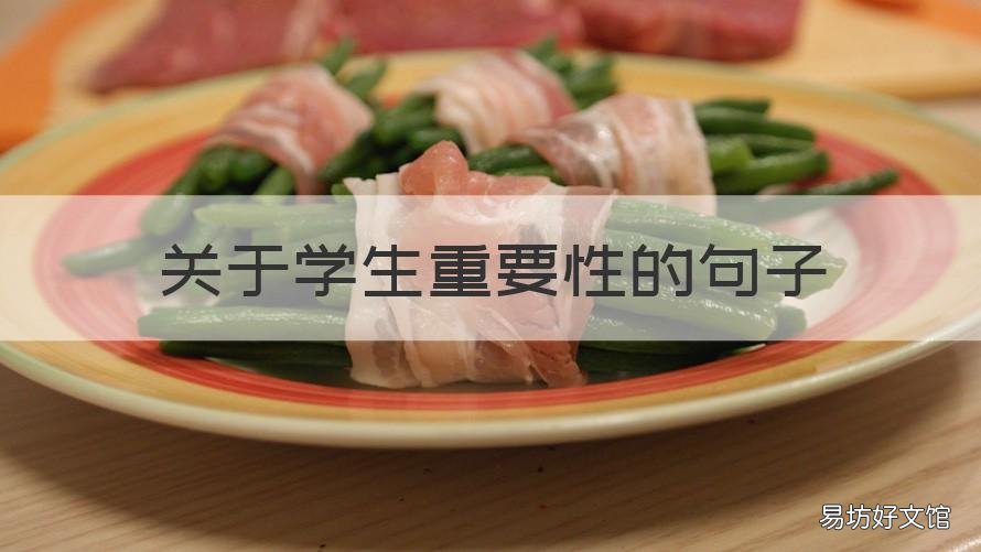 关于学生重要性的句子 关于好学生的句子