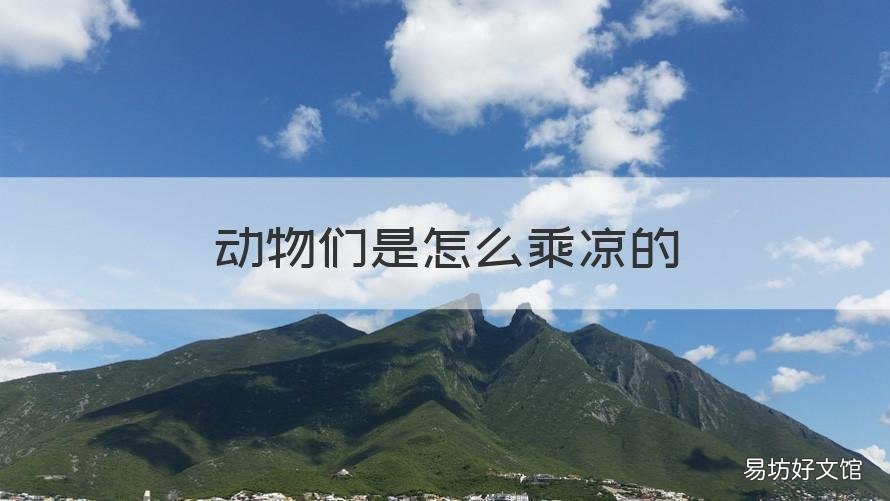 动物们是怎么乘凉的 动物们乘凉的方法