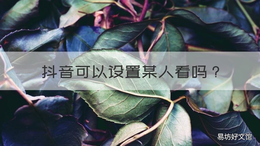 抖音可以设置某人看吗 抖音能设置某个人不能看吗