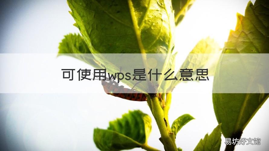 可使用wps是什么意思 网络显示可使用wps是什么意思