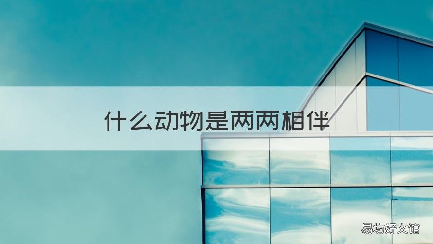 什么动物是两两相伴 什么动物是两两相伴的生肖