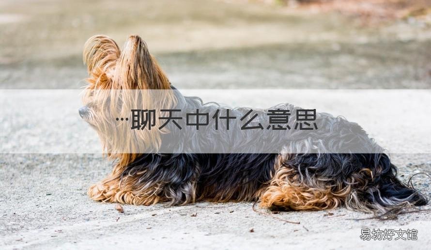 …聊天中什么意思 聊天中什么意思app