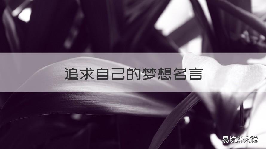 追求自己的梦想名言 追求自己的梦想名言警句