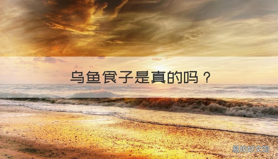 乌鱼食子是真的吗 乌鱼子什么人不能吃