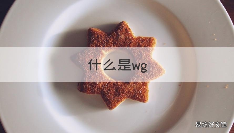 什么是wg 什么是一种古老的弦索谱