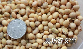 东北黄豆酱的做法 东北黄豆酱的做法 最正宗的做法