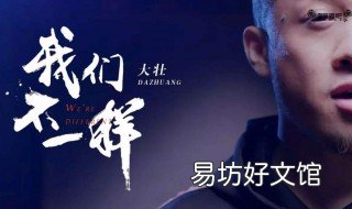 我们不一样原唱 我们不一样原唱大壮mp3