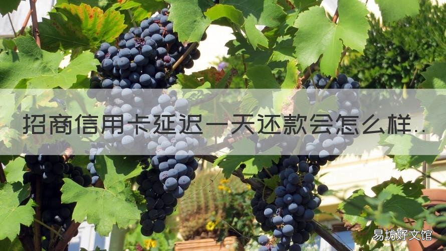 招商信用卡延迟一天还款会怎么样 招行延迟一天还款会怎么样