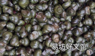 田螺亩产多少斤 2018养殖大田螺一亩产多少斤