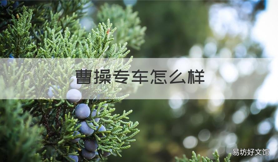 曹操专车怎么样 曹操专车怎么样安装ETc