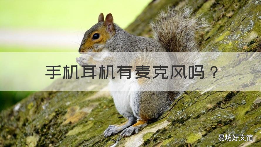 手机耳机有麦克风吗 手机耳机有没有麦克风功能