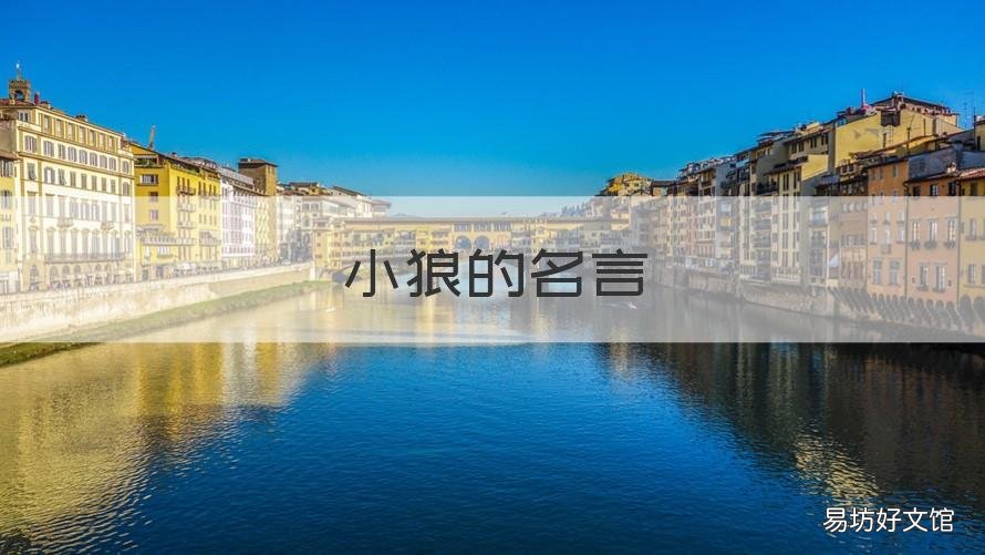 小狼的名言 五只小狼名人名言