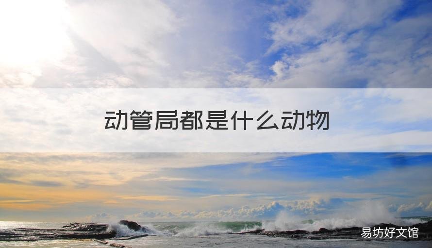 动管局都是什么动物 动物管理局每个人都是什么动物