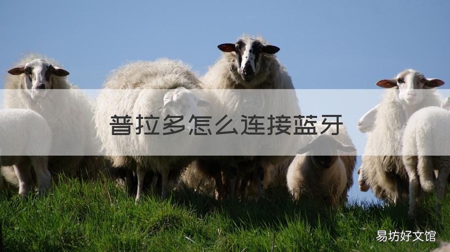 普拉多怎么连接蓝牙 普拉多怎么连接蓝牙放歌