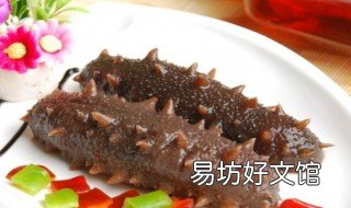 海参的十大治病功效 海参的十大治病功效是什么