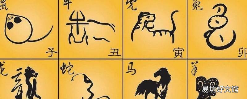病肖有几个 病指什么生肖
