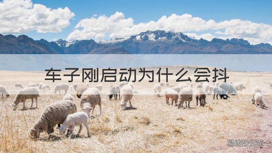 车子刚启动为什么会抖 车子刚启动为什么会抖发动机故障灯