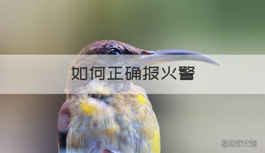 如何正确报火警 如何正确报火警119