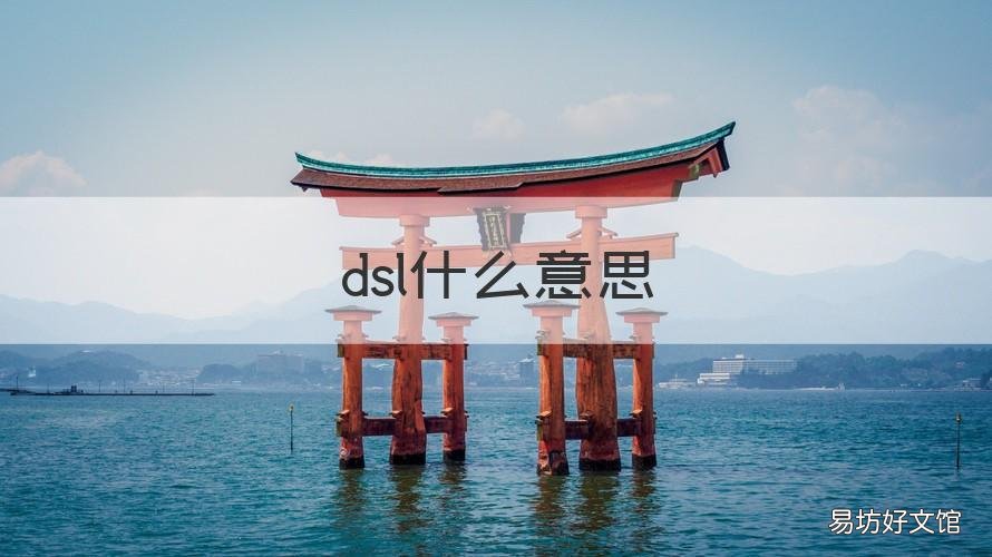 dsl什么意思 DSL是指