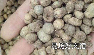 白痰多吃什么食物好 白痰多吃什么食物效果好