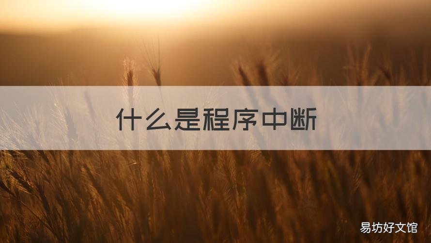 什么是程序中断 什么是程序中断方式,它主要用于处理哪些情况,举例子