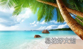 椰子怎样传播种子 椰子种子怎么传播