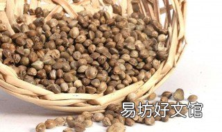 火麻仁的副作用 巴马火麻仁的副作用