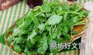 香菜放冰箱几天催芽 香菜放冰箱几天催芽好