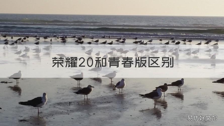荣耀20和青春版区别 荣耀20青春版有什么区别