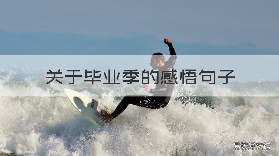 关于毕业季的感悟句子 关于毕业感言的句子