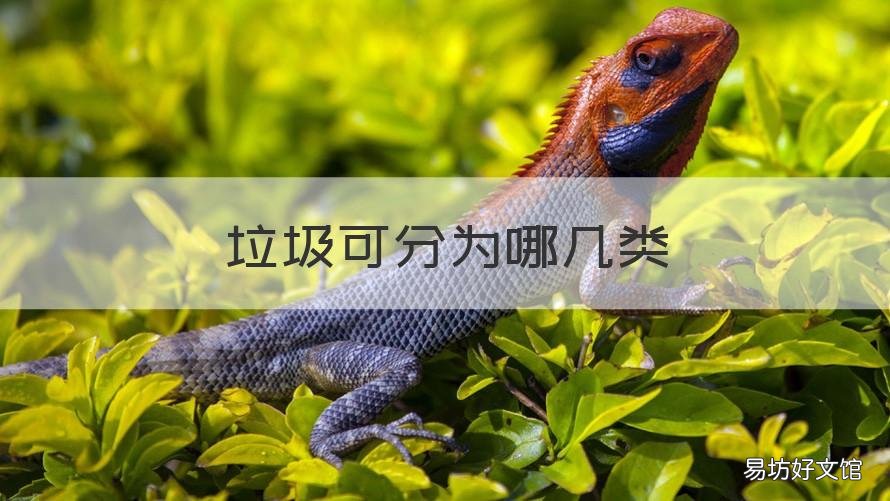 垃圾可分为哪几类 垃圾分为哪几类怎么画
