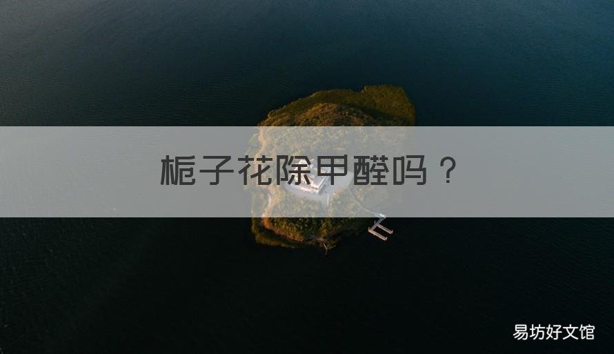 栀子花除甲醛吗 栀子花除甲醛吗有效果吗