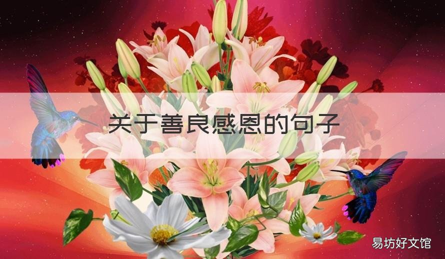 关于善良感恩的句子 善良感恩的心句子