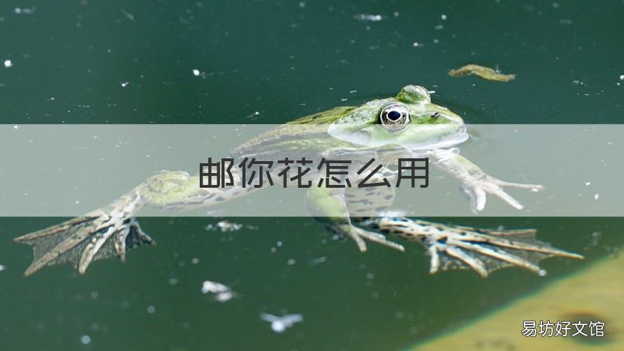 邮你花怎么用 邮你花app下载