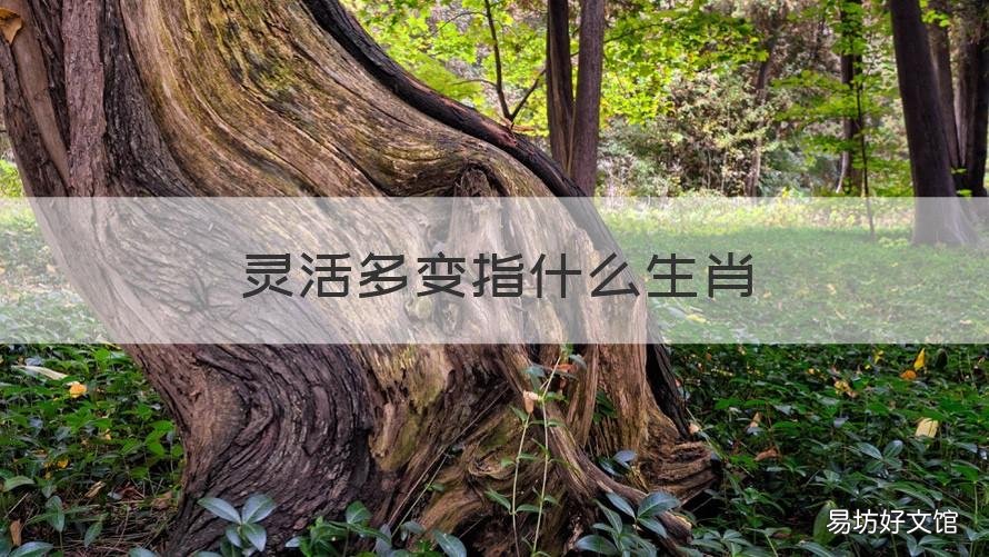 灵活多变指什么生肖 灵活多变的生肖