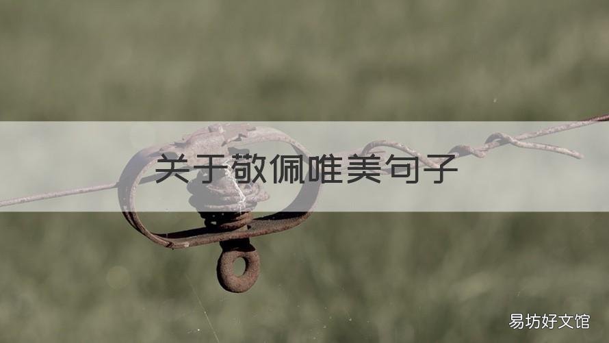 关于敬佩唯美句子 关于崇敬的句子