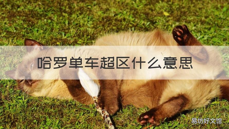 哈罗单车超区什么意思 哈啰单车超区是什么意思