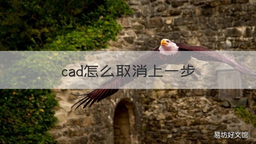 cad怎么取消上一步 cad画图怎么取消上一步
