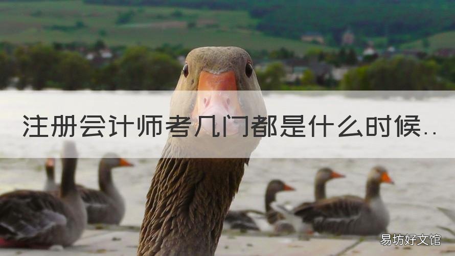 注册会计师考几门都是什么时候 注册会计师是几年考几科