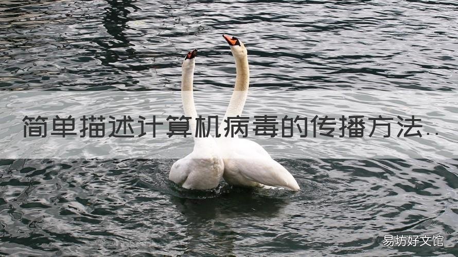 简单描述计算机病毒的传播方法 简述计算机病毒的定义、分类以及传播途径