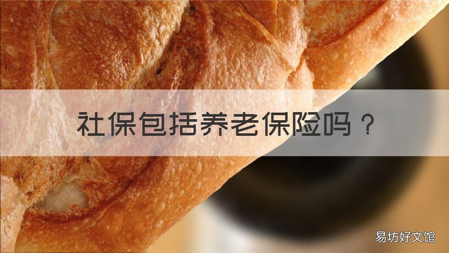 社保包括养老保险吗 社保包括养老保险吗怎么交