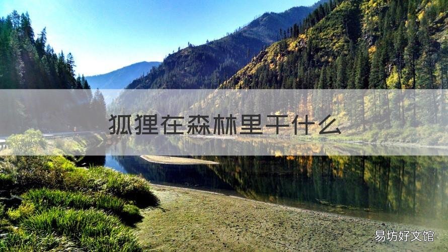 狐狸在森林里干什么 狐狸在森林里干什么补充句子一年级
