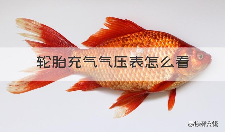轮胎充气气压表怎么看 怎样给轮胎充气,气压表怎么看