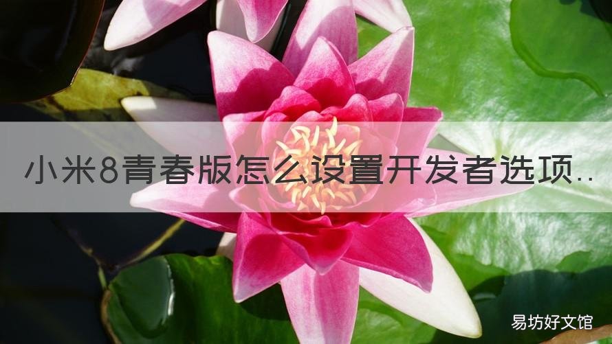 小米8青春版怎么设置开发者选项 小米8青春版开发者选项在哪里
