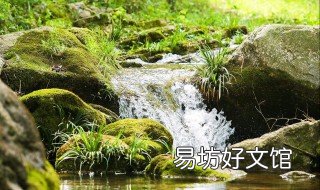 去除青苔最快的方法 去除青苔最快的方法有哪些
