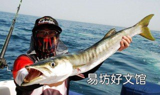 梦见大鱼是什么意思 梦见大鱼是什么意思?