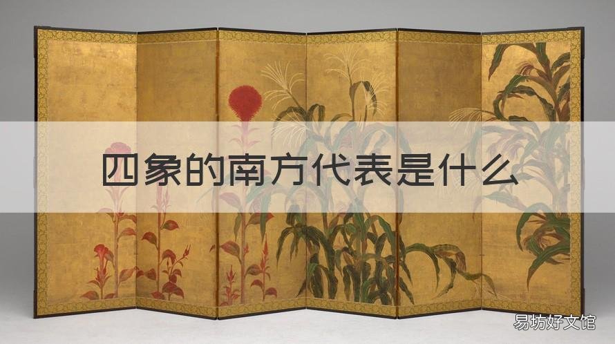 四象的南方代表是什么 四象指的是什么方向