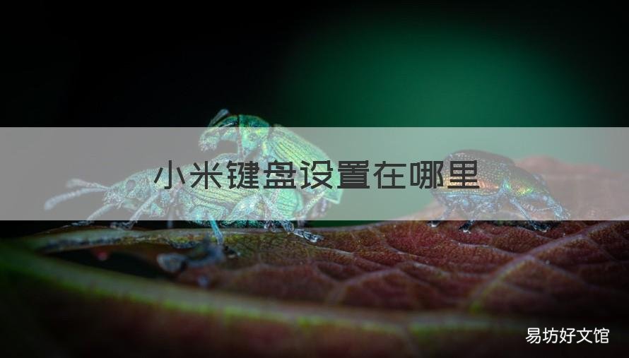 小米键盘设置在哪里 小米的键盘怎么设置